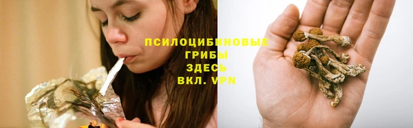 прущие крисы Карпинск