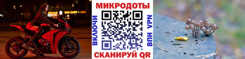 Псилоцибиновые грибы прущие грибы  Купить  Балей 